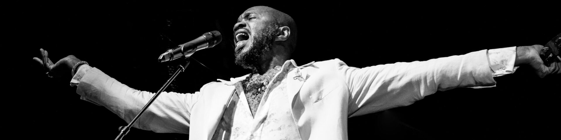 David McAlmont