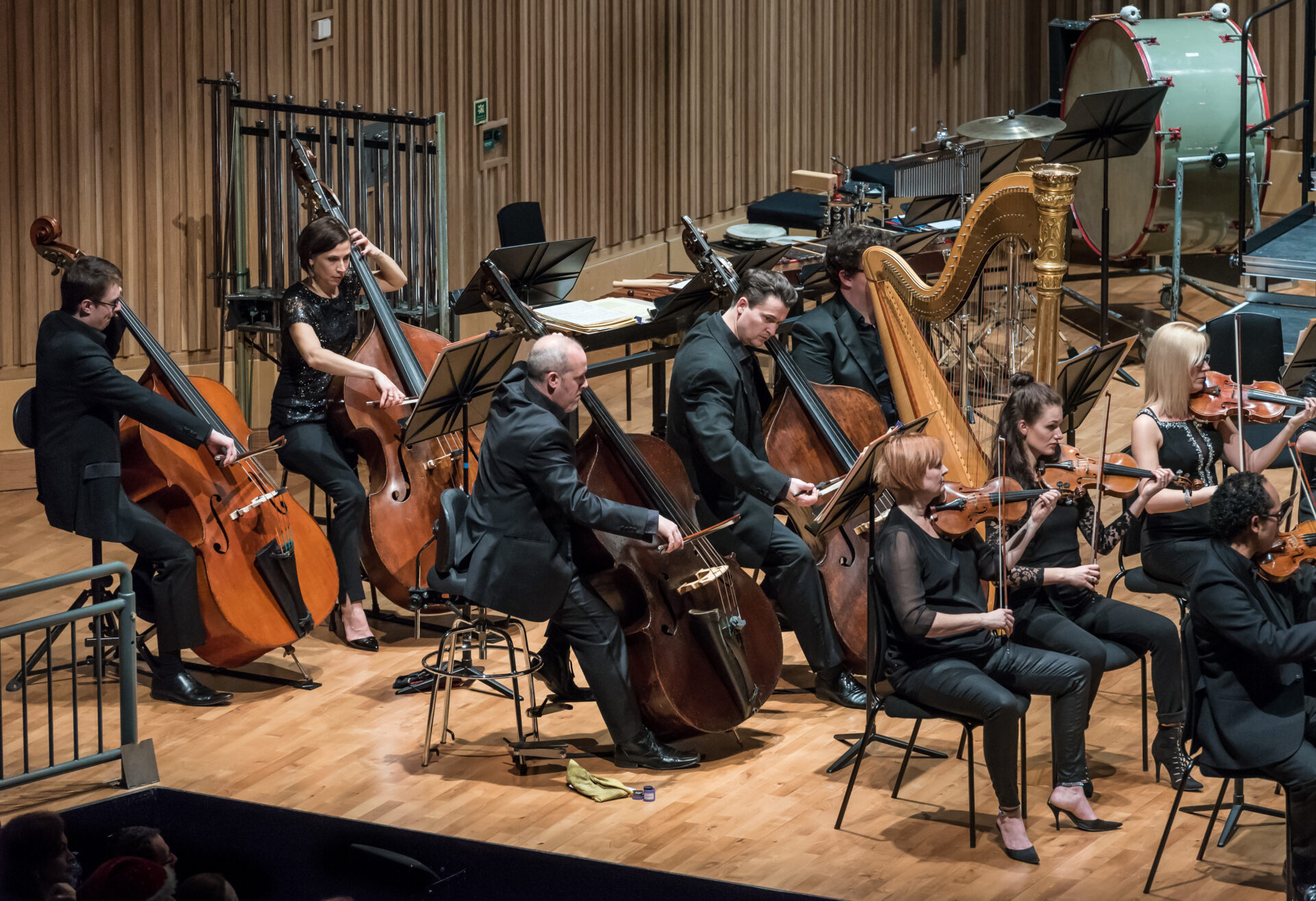 Close up view of orchestral players on the Saffron Hall stage