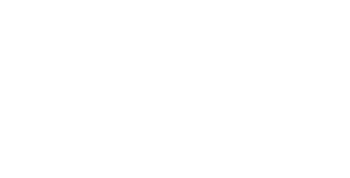 Essex County Council Logo